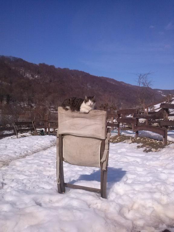 La Fattoria Di Morgana Villa Опи Екстериор снимка