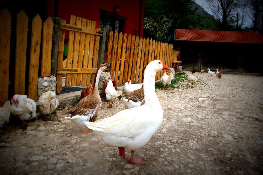 La Fattoria Di Morgana Villa Опи Екстериор снимка
